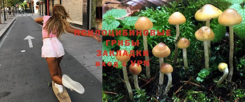 Псилоцибиновые грибы Psilocybe  купить наркоту  MEGA рабочий сайт  Ликино-Дулёво 